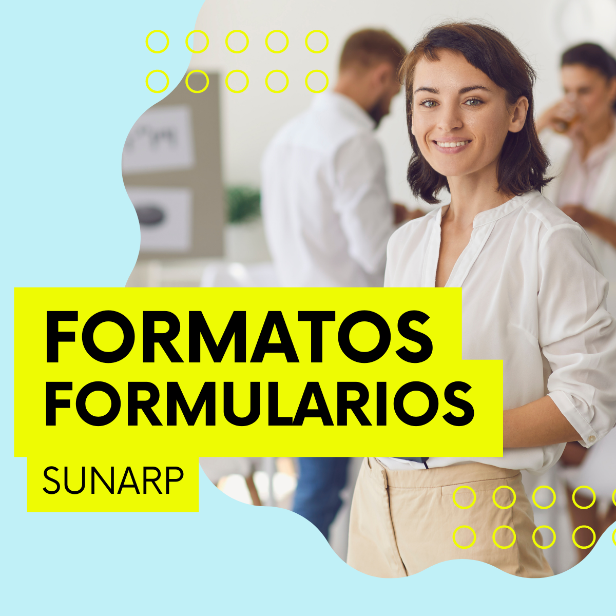 FORMATO-FORMULARIO-SUNARP