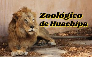 Zoológico de Huachipa
