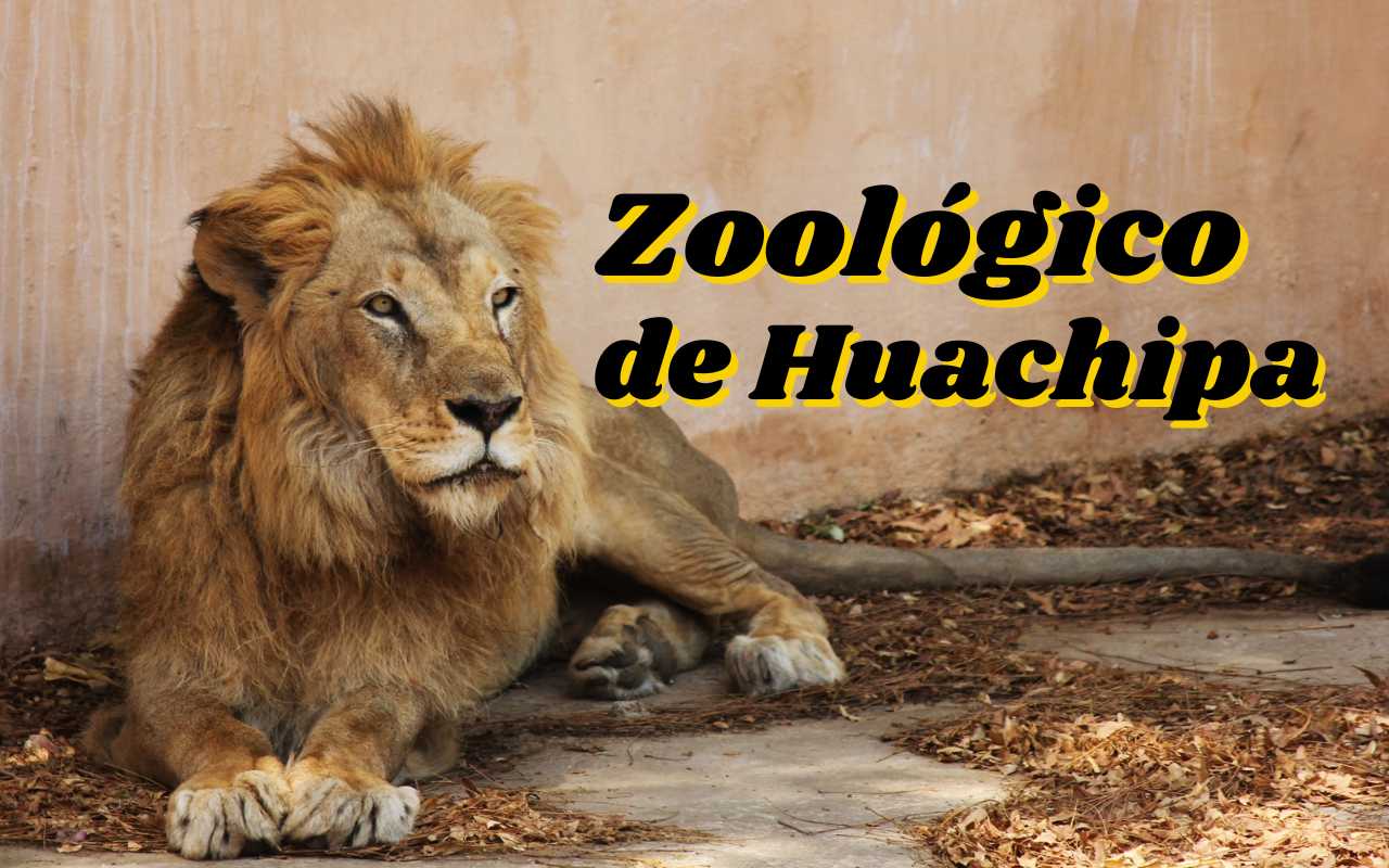 Zoológico de Huachipa